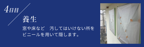 養生