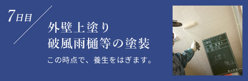 外壁上塗り破風雨樋等の塗装