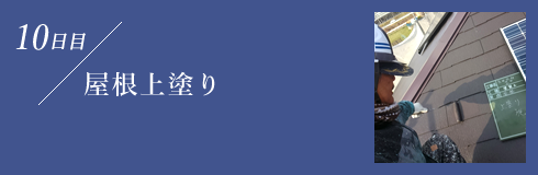 屋根上塗り