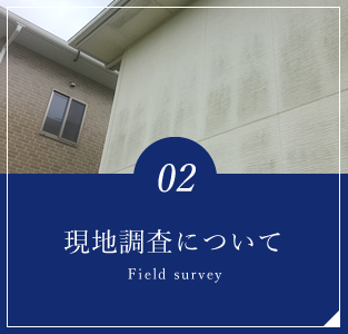 現地調査について